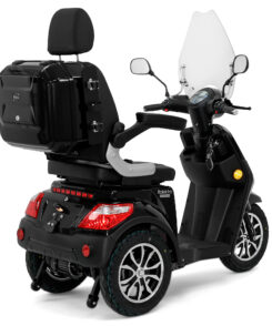 35119 E Trike25V.3 Premium Schwarz 002