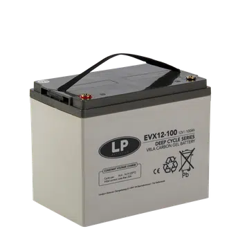 EVX 100 Scootmobiel accu Scootmobiel EVX-Accu 100ah/12v-20hr - LP